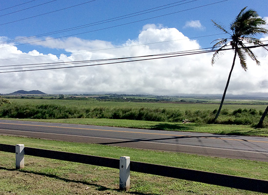End of sugar on Maui : We do not know what change will come to this scenery in ten years. Picture taken from the park.